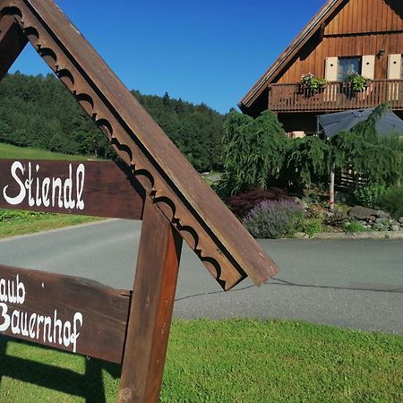 Am Jaukhof Familie Stiendl Villa Neudorf im Sausal ภายนอก รูปภาพ