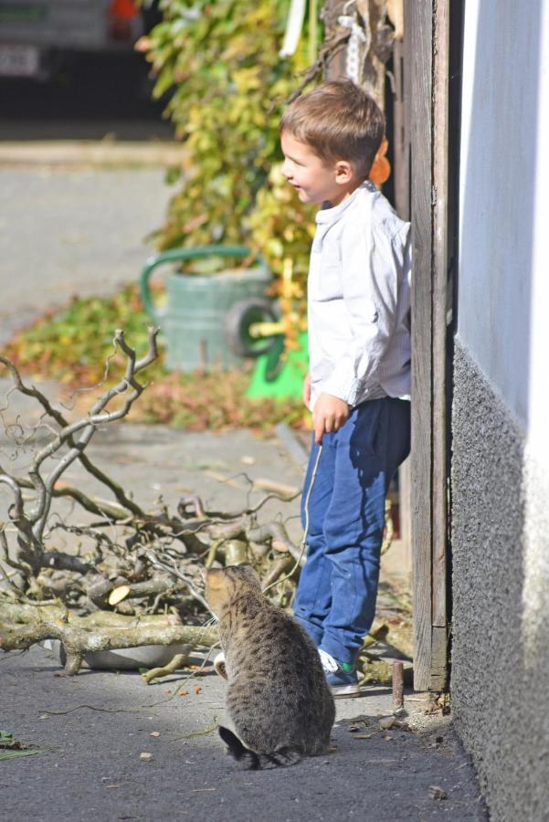 Am Jaukhof Familie Stiendl Villa Neudorf im Sausal ภายนอก รูปภาพ