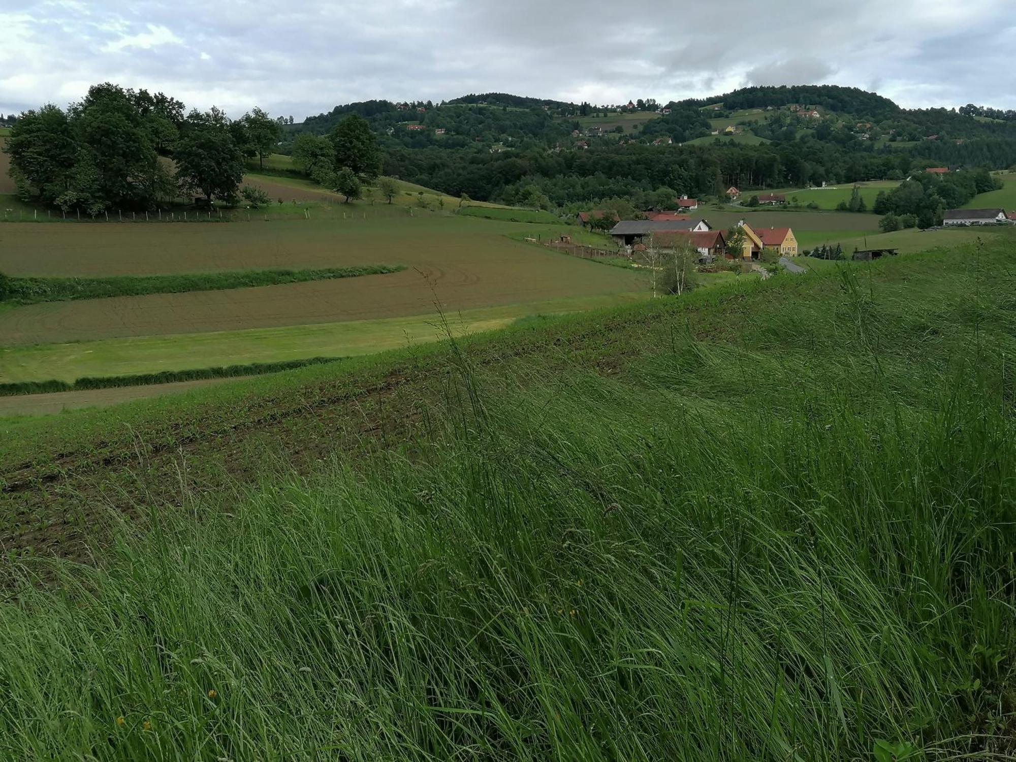 Am Jaukhof Familie Stiendl Villa Neudorf im Sausal ภายนอก รูปภาพ