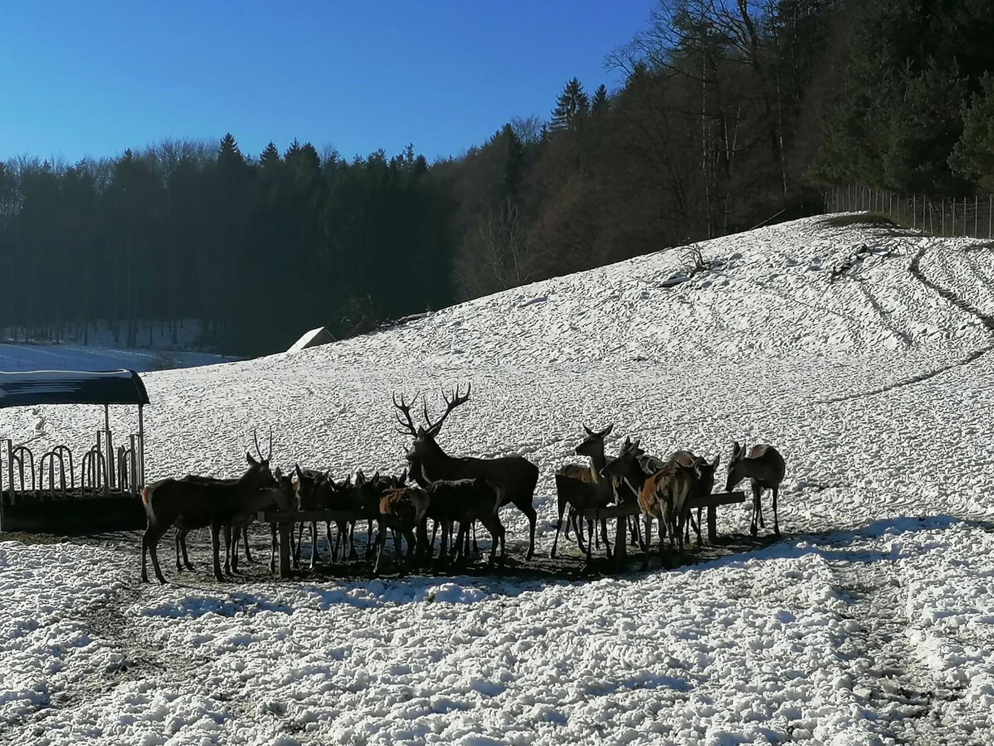 Am Jaukhof Familie Stiendl Villa Neudorf im Sausal ภายนอก รูปภาพ